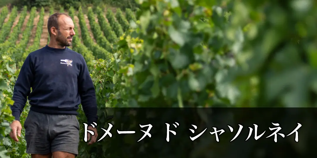 シャソルネイ