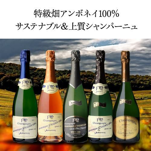 ドミニク フルールミレジメ [2015] グランクリュ アンボネイ750ml