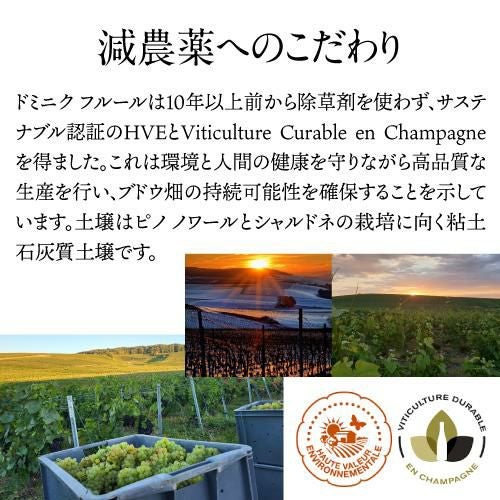 ドミニク フルールミレジメ [2015] グランクリュ アンボネイ750ml