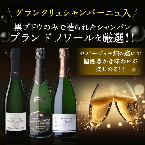 1本/6,500円】送料無料 シャンパンセットブラン ド ノワール 特選