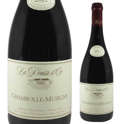 シャンボール・ミュジニー（Chambolle-Musigny）｜エレガントなピノ